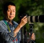 91在线麻豆-网媒反思，理性看待91在线麻豆现象