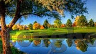 爱情岛AV网站麻豆-揭秘爱情岛上令人着迷的AV网站与麻豆的独特魅力