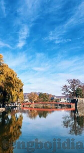 波多野结衣av一区二区三区中文-波多野结衣，从一区到三区的传奇之旅