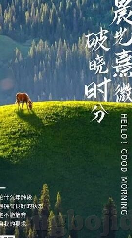人妻乱伦小说-伦理的迷雾，人妻乱伦小说中的情感纠葛与道德边界