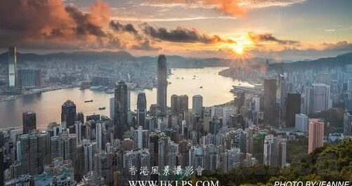 糖心app类似的软件-坦白面对数字时代的多面诱惑，以糖心App为代表的现象探讨