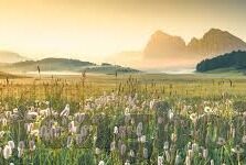 糖心旧版官网入口-穿越岁月，糖心旧版重温记忆之旅